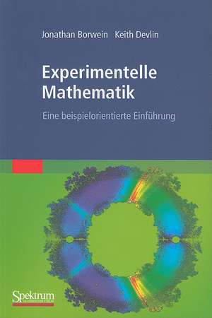 Experimentelle Mathematik: Eine beispielorientierte Einführung de Jonathan Borwein