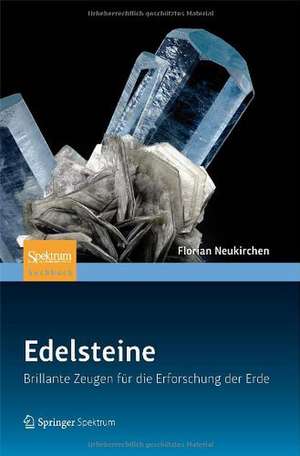 Edelsteine: Brillante Zeugen für die Erforschung der Erde de Florian Neukirchen