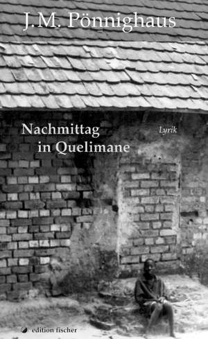 Nachmittag in Quelimane. de Jörg M. Pönnighaus