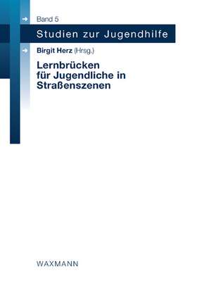 Lernbrücken für Jugendliche in Straßenszenen de Birgit Herz