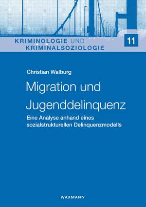 Migration und Jugenddelinquenz de Christian Walburg