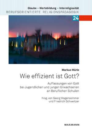 Wie effizient ist Gott? de Markus Mürle