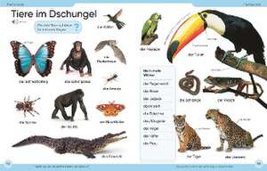 Bildwörterbuch Deutsch de DK Verlag - Kids