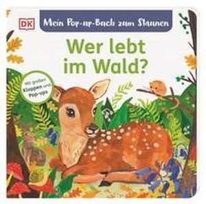 Mein Pop-up-Buch zum Staunen. Wer lebt im Wald? de Sandra Grimm