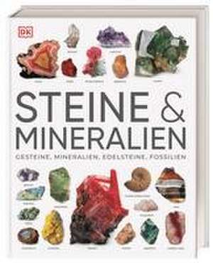 Steine & Mineralien de Ronald L. Bonewitz