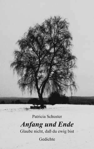 Anfang und Ende. Glaube nicht, daß du ewig bist. Gedichte de Patricia Schuster