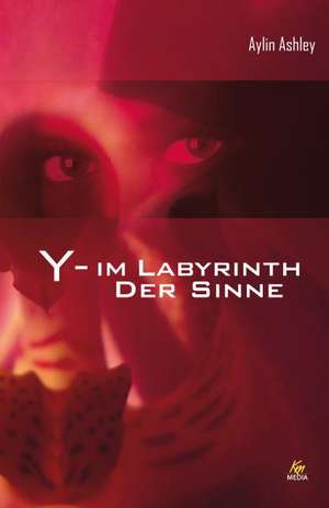 Y - Im Labyrinth der Sinne de Aylin Ashley