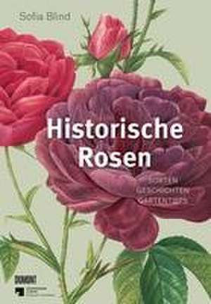 Historische Rosen de Sofia Blind