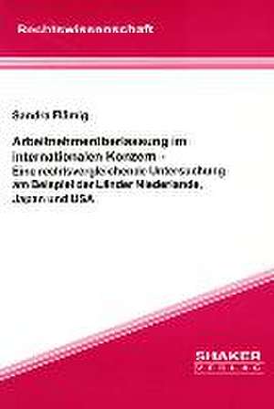 Arbeitnehmerüberlassung im internationalen Konzern de Sandra Flämig