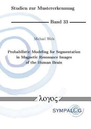 Probabilistic Modeling for Segmentation in Magnetic Resonance Images of the Human Brain