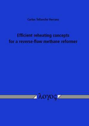 Efficient Reheating Concepts for a Reverse-Flow Methane Reformer