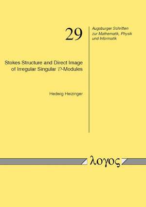 Stokes Structure and Direct Image of Irregular Singular D-Modules