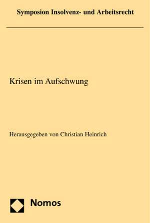 Krisen im Aufschwung de Christian Heinrich