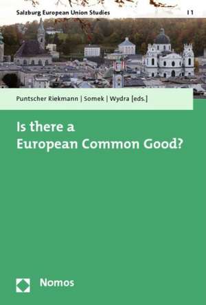 Is there a European Common Good? de Sonja Puntscher Riekmann