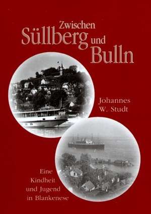 Zwischen Süllberg und Bulln de Johannes W. Studt