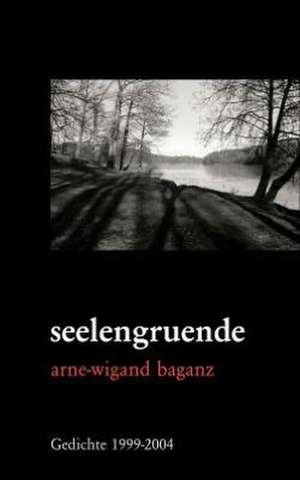 seelengruende de Arne-Wigand Baganz