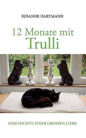 12 Monate Mit Trulli: The Collusion de Susanne Hartmann