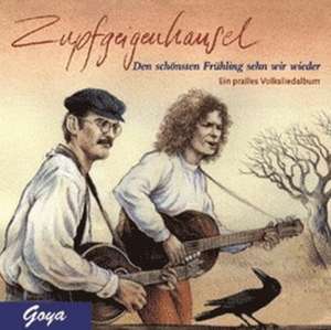 30 Jahre Zupfgeigenhansel. CD de Thomas Friz