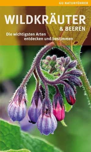 Wildkräuter und Beeren de Helga Hofmann