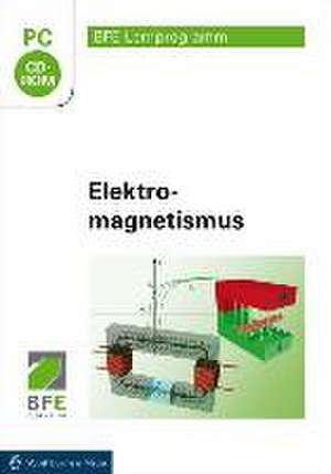 Elektromagnetismus