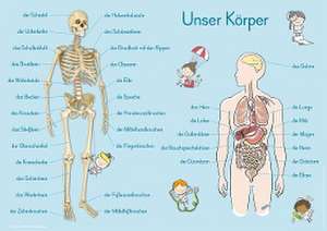 6 A1-Merk-Poster für den Sachunterricht  Jahreskreis, Körper, Waldtiere, Epochen, Kontinente, vom Korn zum Brot de Anja Boretzki