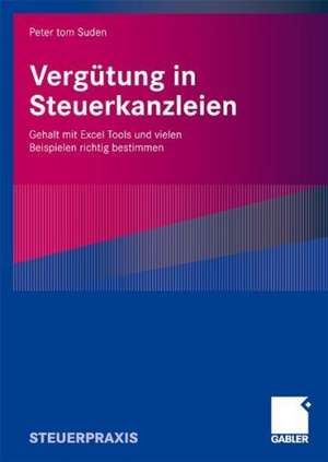 Vergütung in Steuerkanzleien: Gehalt mit Excel Tools und vielen Beispielen richtig bestimmen de Peter tom Suden