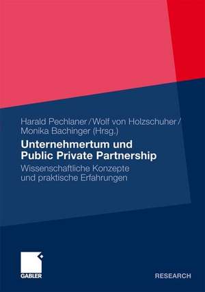 Unternehmertum und Public Private Partnership: Wissenschaftliche Konzepte und praktische Erfahrungen de Harald Pechlaner