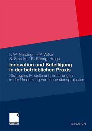 Innovation und Beteiligung in der betrieblichen Praxis: Strategien, Modelle und Erfahrungen in der Umsetzung von Innovationsprojekten de Friedemann Nerdinger