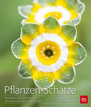 Pflanzen-Schätze de Stefanie Syren