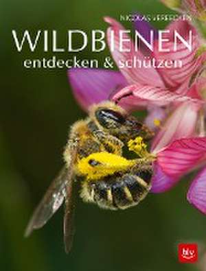 Wildbienen entdecken & schützen de Nicolas Vereecken