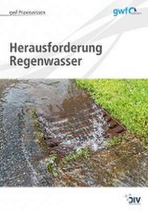 Herausforderung Regenwasser de Hella Runge