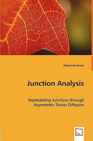 Junction Analysis de Shawn Arseneau