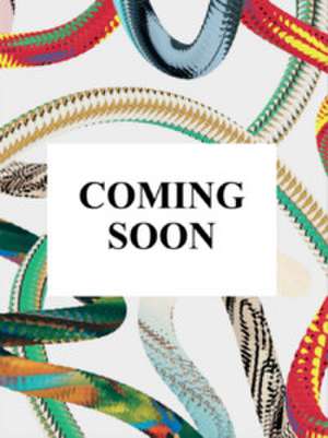 Marvel Comics Library. Hulk. 1962-1966 de Douglas Wolk