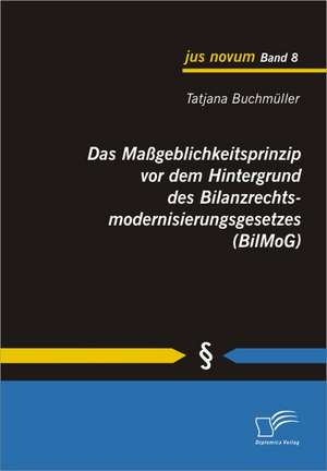 Das Ma Geblichkeitsprinzip VOR Dem Hintergrund Des Bilanzrechtsmodernisierungsgesetzes (Bilmog): Vermeidung Von Schaden Durch Mobile Schutzsysteme de Tatjana Buchmüller