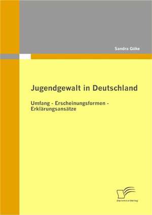 Jugendgewalt in Deutschland de Sandra Göke