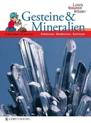 Lesen - Staunen - Wissen. Gesteine & Mineralien de Rupert Hochleitner