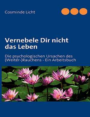 Vernebele Dir Nicht Das Leben: Innovation Im Rahmen Des Europ Ischen Sozialfonds de Cosminde Licht