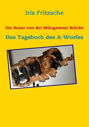 Die Boxer Von Der Mngstener Brcke: Wo Ist Kurt? de Iris Fritzsche