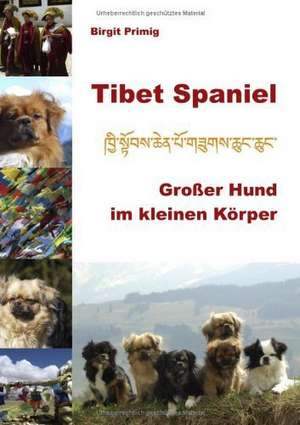 Tibet Spaniel de Birgit Primig