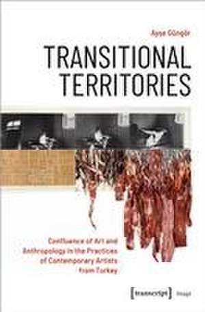 Transitional Territories de Ayse Güngör