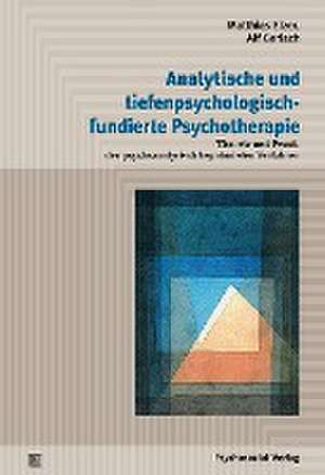 Analytische und tiefenpsychologisch fundierte Psychotherapie de Matthias Elzer