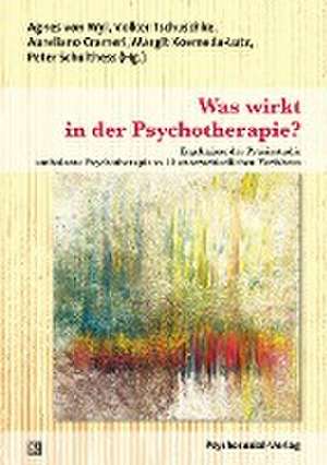 Was wirkt in der Psychotherapie? de Agnes von Wyl