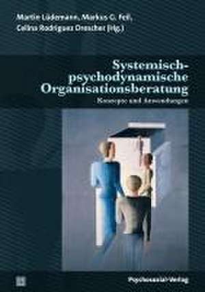 Systemisch-psychodynamische Organisationsberatung de Markus G. Feil