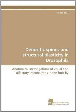 Dendritic Spines and Structural Plasticity in Drosophila: Insights from Cern Physicists de Florian Leiß