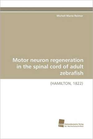 Motor Neuron Regeneration in the Spinal Cord of Adult Zebrafish: Communities in Private-Collective Innovation de Michell Mario Reimer