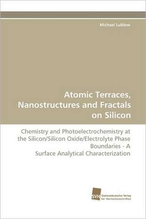 Atomic Terraces, Nanostructures and Fractals on Silicon de Michael Lublow