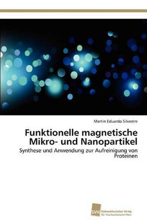 Funktionelle Magnetische Mikro- Und Nanopartikel: From Bulk to Heterostructures de Martín Eduardo Silvestre