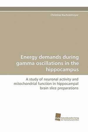 Energy Demands During Gamma Oscillations in the Hippocampus: From Bulk to Heterostructures de Christine Huchzermeyer