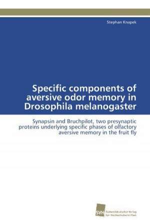 Specific Components of Aversive Odor Memory in Drosophila Melanogaster: From Bulk to Heterostructures de Stephan Knapek