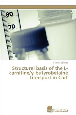 Structural Basis of the L-Carnitine/ -Butyrobetaine Transport in Cait: Verlaufsbeobachtung Nach Nierentransplantation de Sabrina Schulze